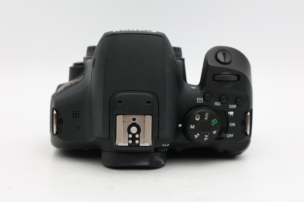 Used Canon Rebel T8i Body (VG)