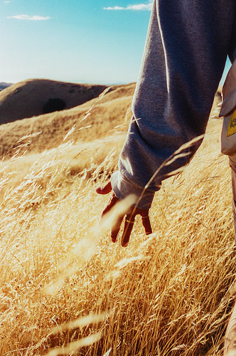 Candido 400 Color Negative - 35mm Film, 36 Exposures, Single Roll