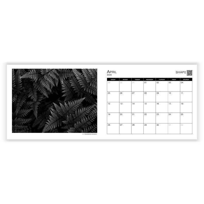 Scott Rinckenberger Elemental 2026 Calendar