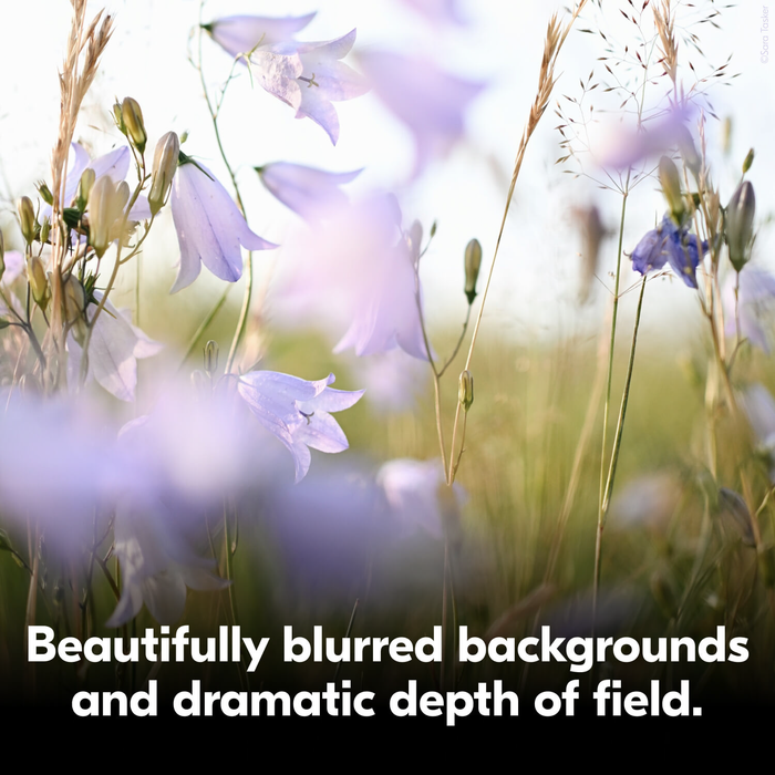 Nikon Z DX MC 35mm f/1.7 Lens