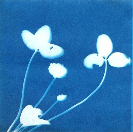 Sunprint Kit, 4 x 4” - 12 Sheets & 1 Acrylic Overlay