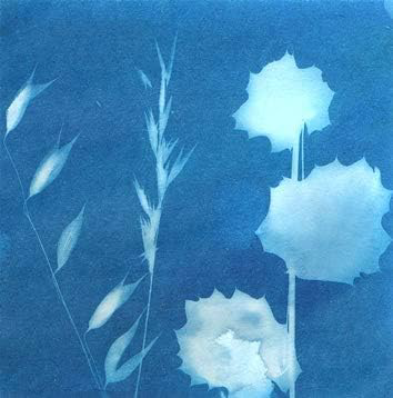 Sunprint Kit, 4 x 4” - 12 Sheets & 1 Acrylic Overlay