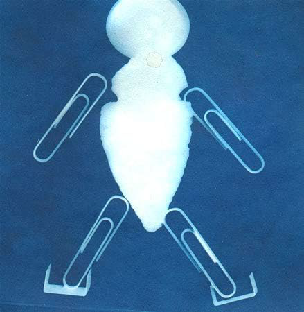 Sunprint Kit, 4 x 4” - 12 Sheets & 1 Acrylic Overlay