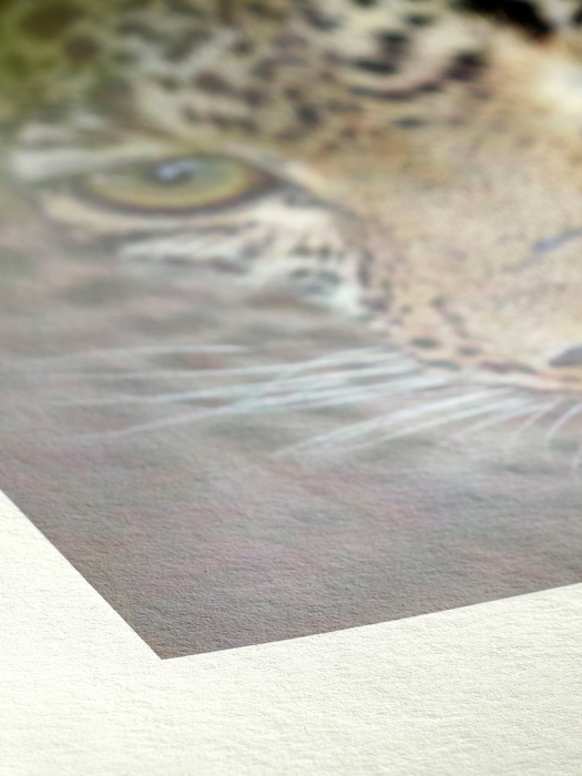 Hahnemühle Bamboo Natural Line FineArt Matte Inkjet Paper 290, 24" x 39' - Roll