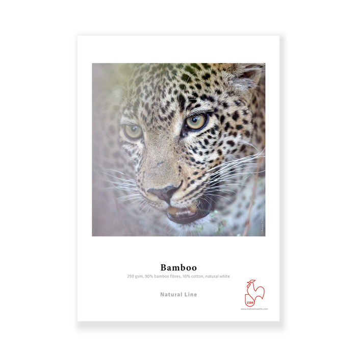 Hahnemühle Bamboo Natural Line FineArt Matte Inkjet Paper 290, 24" x 39' - Roll