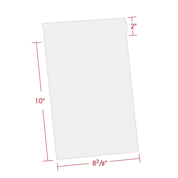 Print File 8×10-BAG Polyethylene Storage Bag with 2″ Flap, 8 × 10" - 100 Pack