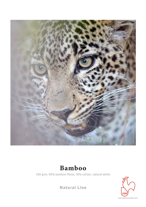 Hahnemühle Bamboo Natural Line FineArt Inkjet Paper 290, 11" x 17" - 25 Sheets