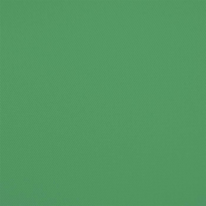 Savage Infinity Solid Vinyl Background, 10' x 20' - Chroma Green (In Store Pick Up Only)