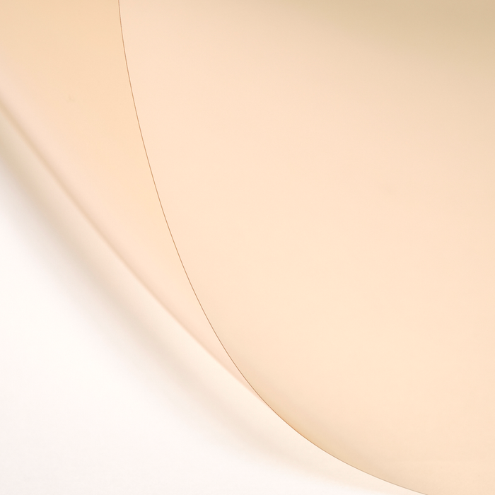 LEE Filters Daylight to Tungsten Studio Lighting Filter Pack, 10"x 12" - 12 Sheets