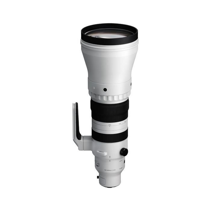 Sigma 300-600mm f/4 DG OS Sports Lens - L Mount