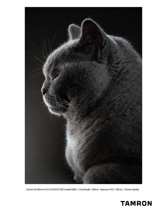 Tamron 50-300mm F/4.5-6.3 Di III VC VXD Lens - Sony E Mount