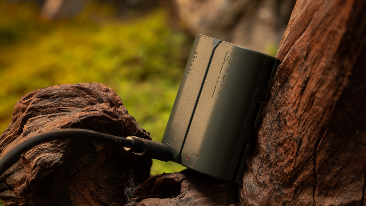 Tilta LP-E6P Battery with USB-C Input (2400mAh) for Canon Cameras - Green