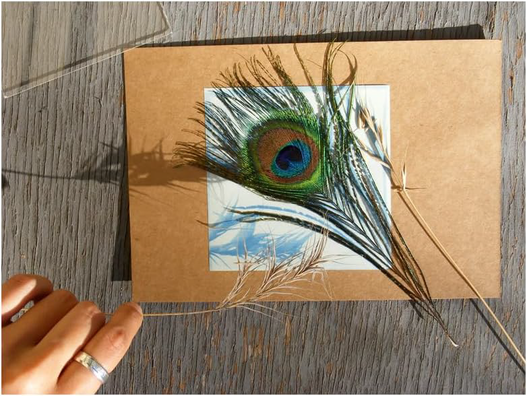 Sunprint Kit Refill, 4 x 4” - 12 Sheets