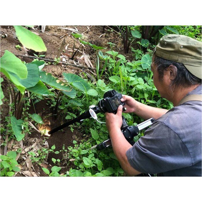 Laowa 24mm f/14 2X Macro Probe - Canon EF, Cine-Mod Version