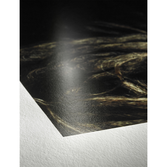 Hahnemühle Photo Rag Baryta Glossy FineArt Inkjet Paper 315, 24" x 39' - Roll