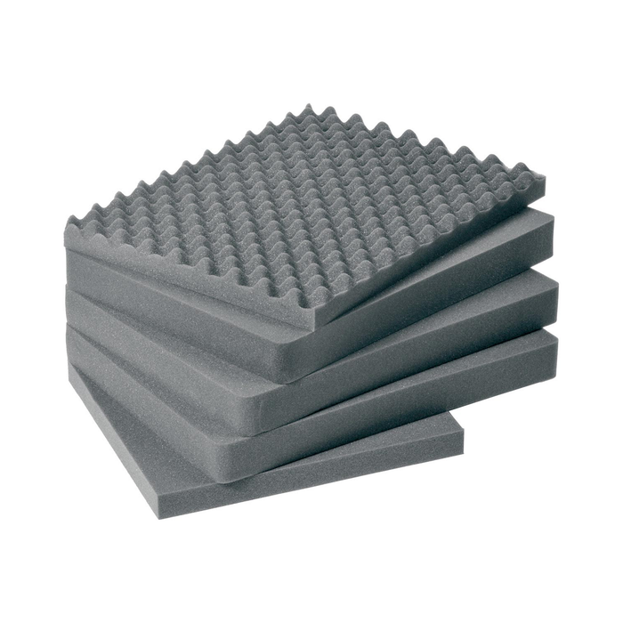 Pelican 1610 Protector Case with Pick-N-Pluck Foam & Lid Foam - Black