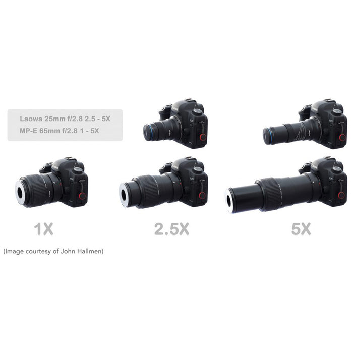 Laowa 25mm f/2.8 2.5-5X Ultra Macro Lens - Sony E Mount
