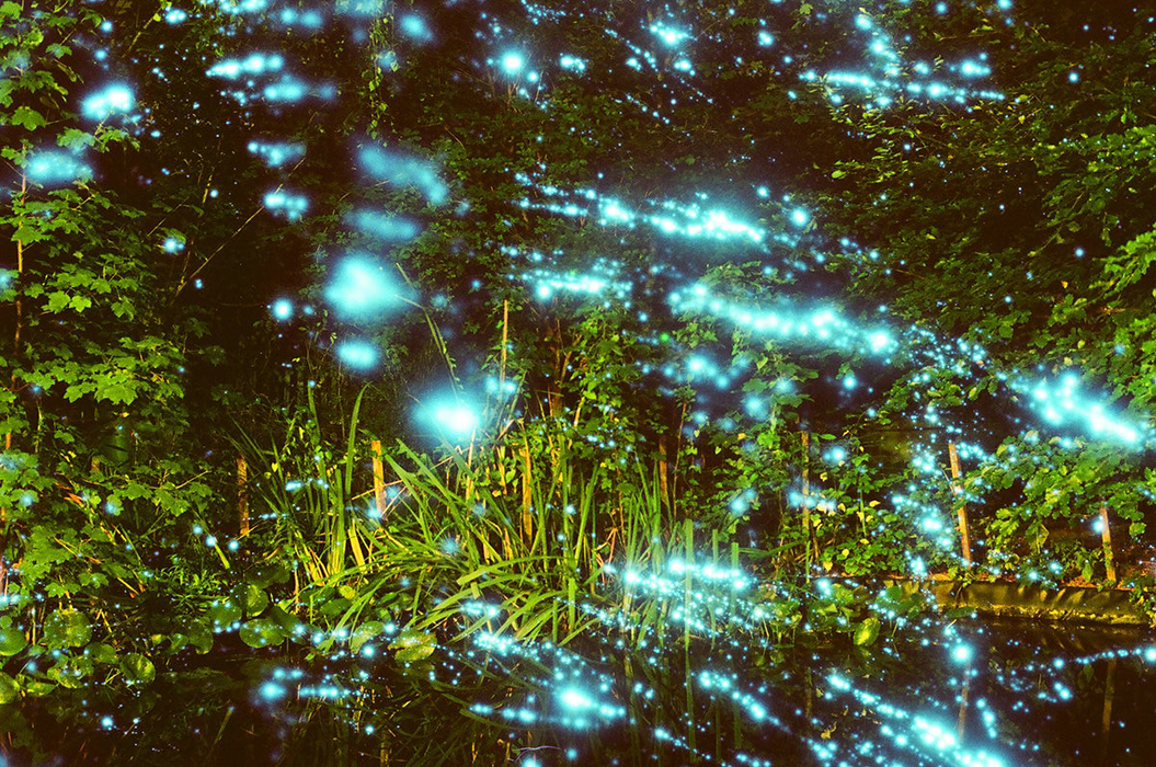 Revolog Kosmos 200 Color Negative - 35mm Film, 36 Exposures, Single Roll