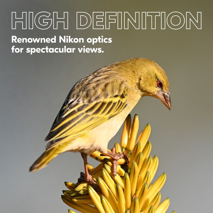 Nikon PROSTAFF P3 8x30 Binoculars