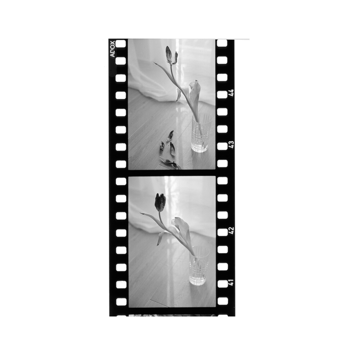 Adox Scala 50 Black and White Reversal - 35mm Film, 36 Exposures, Single Roll