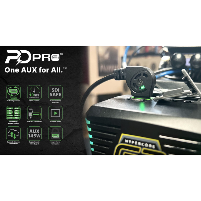 Core SWX USB-C PD Pro to 2-Pin BMD Power Connector Cable, 24"