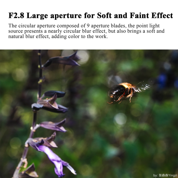 7Artisans 60mm f/2.8 Full-Frame 2X Ultra-Macro Lens - Nikon Z Mount