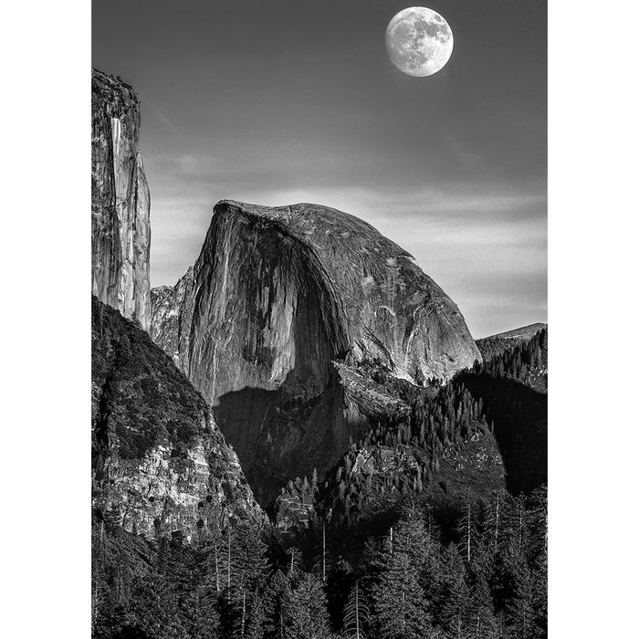 Hoya 82mm Red #25A (HMC) Multi-Coated Glass Filter