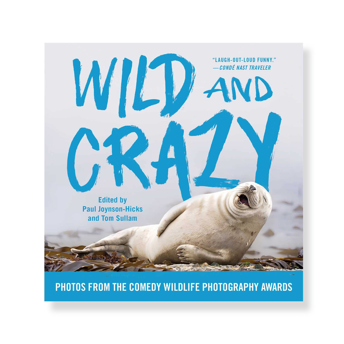 Wild and Crazy: Photos from the Comedy Wildlife Photography Awards