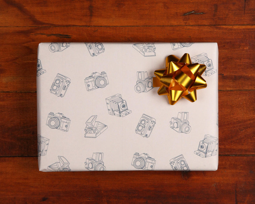 Cameras Gift Wrap, 10ft Roll - Natural