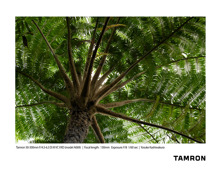 Tamron 50-300mm F/4.5-6.3 Di III VC VXD Lens - Sony E Mount