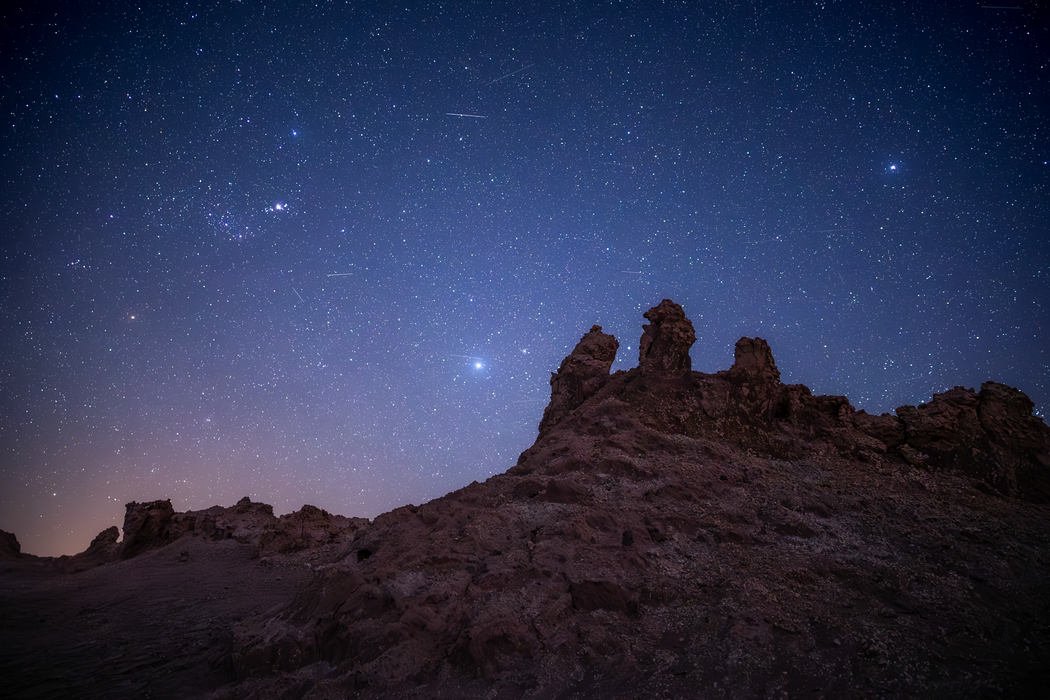 Sigma 15mm f/1.4 DC Contemporary Lens - Canon RF Mount