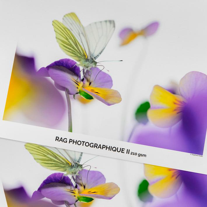 Canson Infinity Rag Photographique II Matte Inkjet Paper, 210 gsm, 8.5 x 11" - 25 Sheets