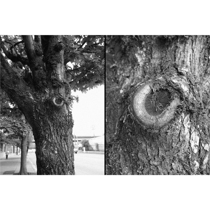 Fujifilm X half Premium Compact Camera - Silver