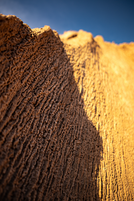 Sigma 15mm f/1.4 DC Contemporary Lens - Canon RF Mount