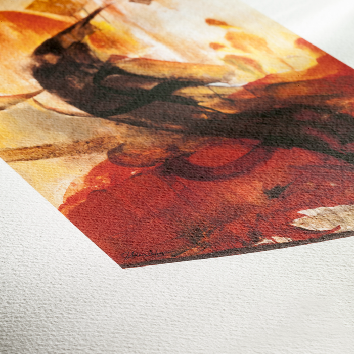 Hahnemühle Sample Pack FineArt Textured Matte Inkjet Paper, A4 8.27 x 11.69" - 5 Qualities / 10 Sheets