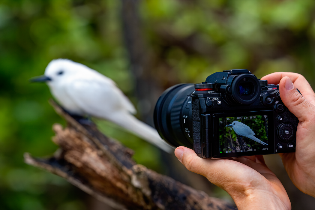 Lumix S1RII Mirrorless Camera