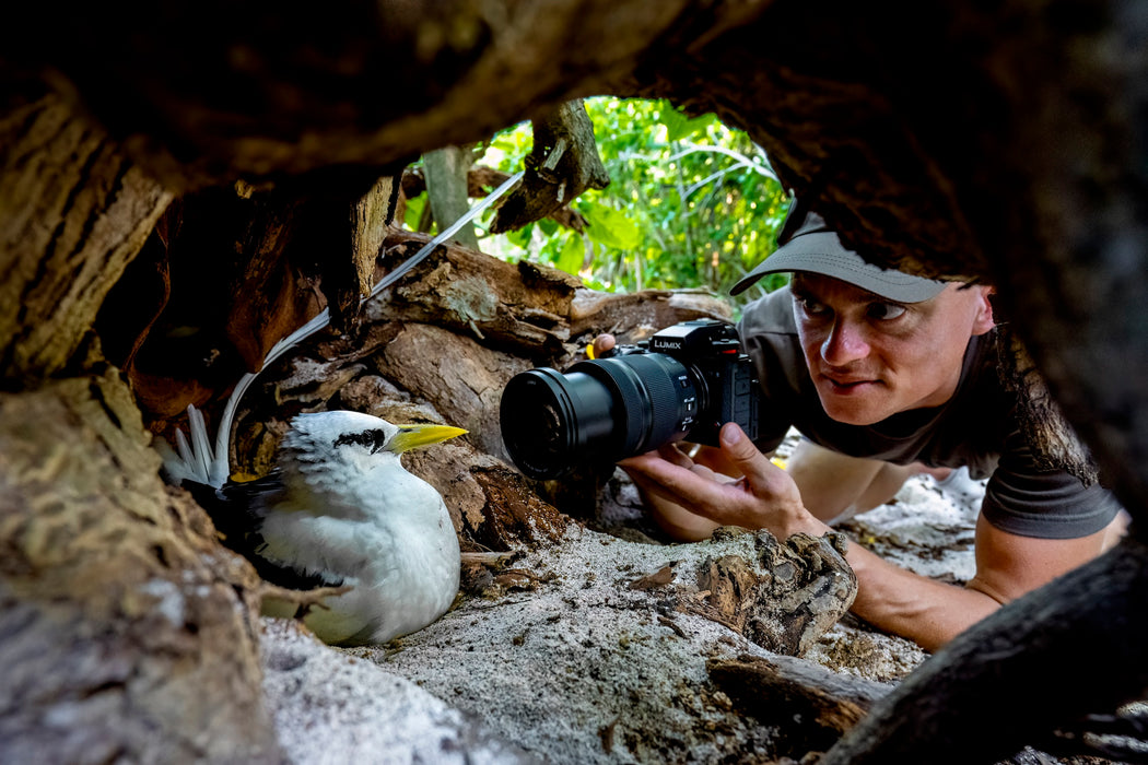 Panasonic Lumix S1RII Mirrorless Camera