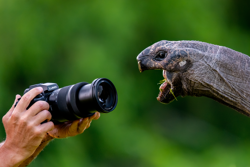 Lumix S1RII Mirrorless Camera