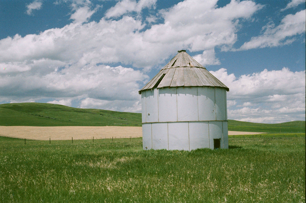 Flic Film Fusion 200 Color Negative - 35mm Film, 36 Exposures, Single Roll