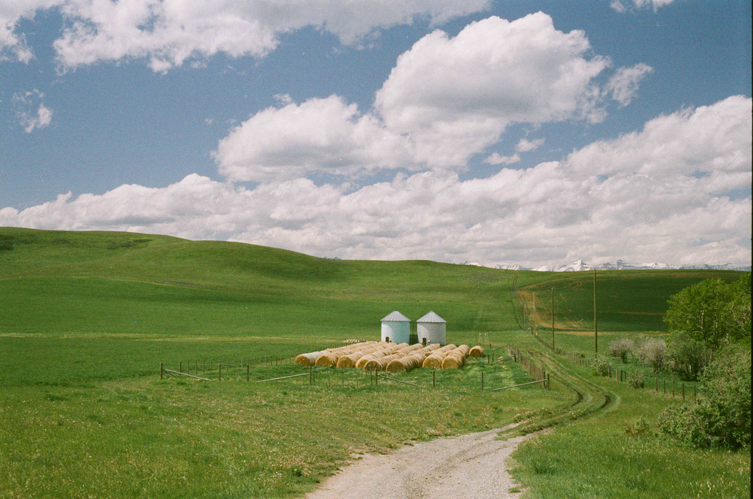 Flic Film Fusion 200 Color Negative - 35mm Film, 36 Exposures, Single Roll