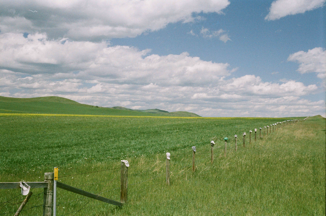 Flic Film Fusion 200 Color Negative - 35mm Film, 36 Exposures, Single Roll