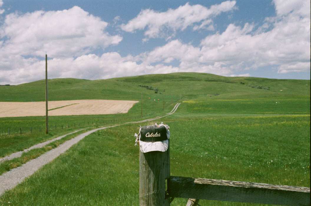 Flic Film Fusion 200 Color Negative - 35mm Film, 36 Exposures, Single Roll