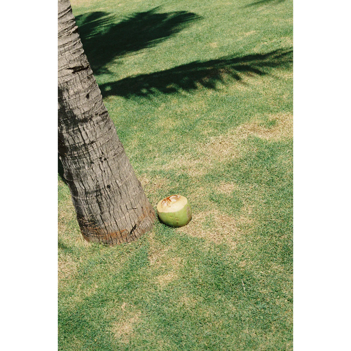 Mr. Negative Fragile (Film Safety Capsule) 400 Color Negative - 35mm, 36 Exposures, Single Roll