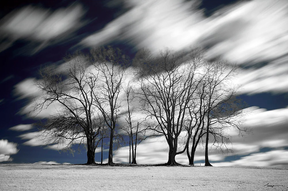 Hoya 77mm R72 Infrared Dark Red Filter