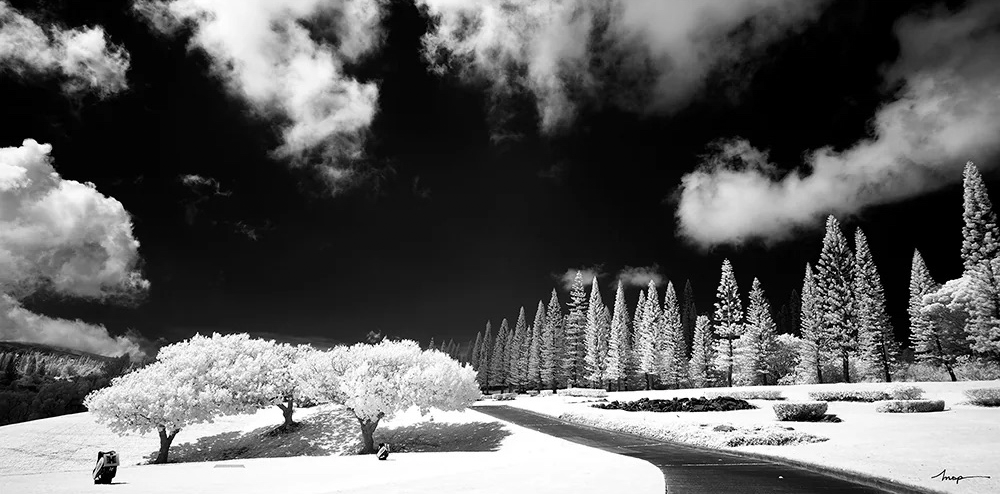 Hoya 77mm R72 Infrared Dark Red Filter