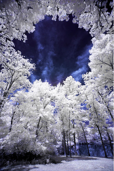 Hoya 77mm R72 Infrared Dark Red Filter