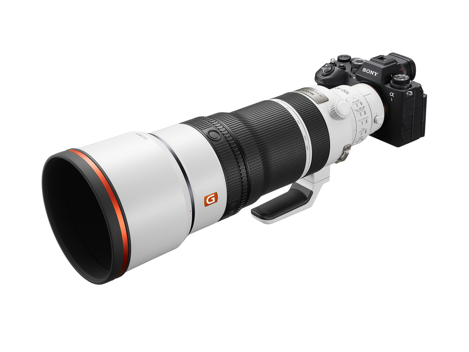 Sony FE 100-400mm f/4.5 GM OSS Lens