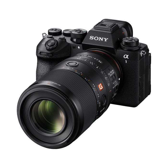 Sony FE 100mm f/2.8 Macro GM OSS Lens