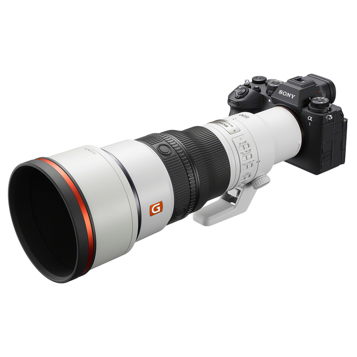 Sony FE 600mm f/6.3 GM OSS Lens