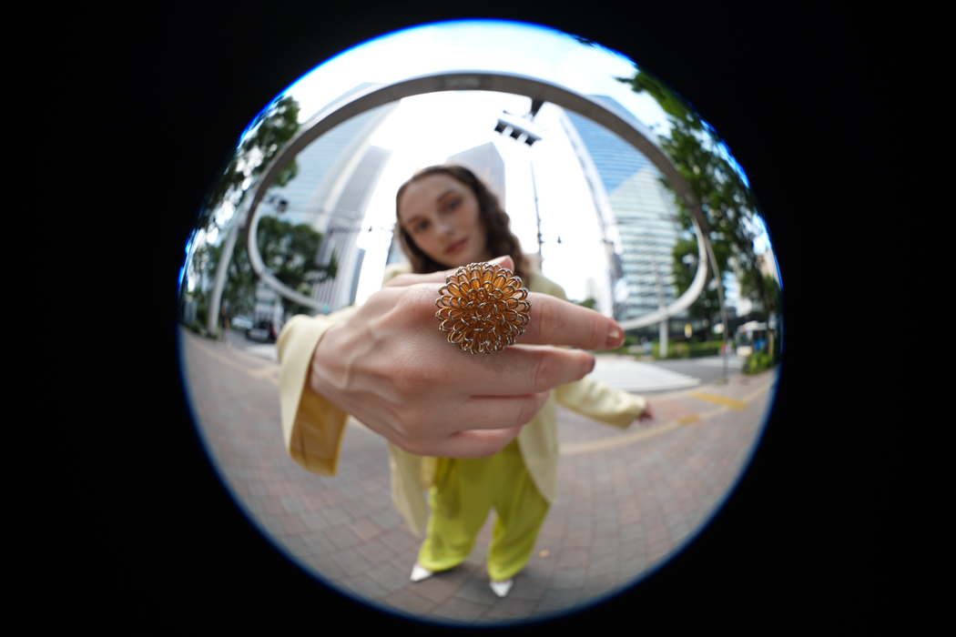 Sony FE 8-14mm f/3.5 Fisheye G Lens
